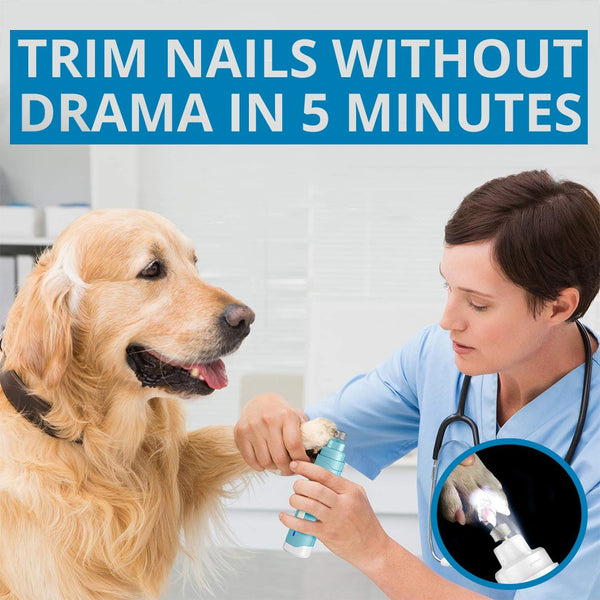 Rechargeable Painless Pet's Nail Grinder - bestdogssupplies
